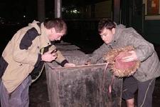 Повозвращались тут